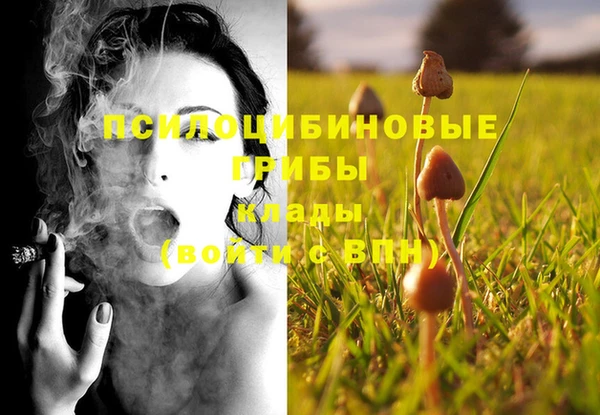 винт Рославль