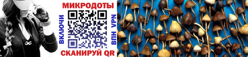 хочу наркоту  Соликамск  Псилоцибиновые грибы MAGIC MUSHROOMS 